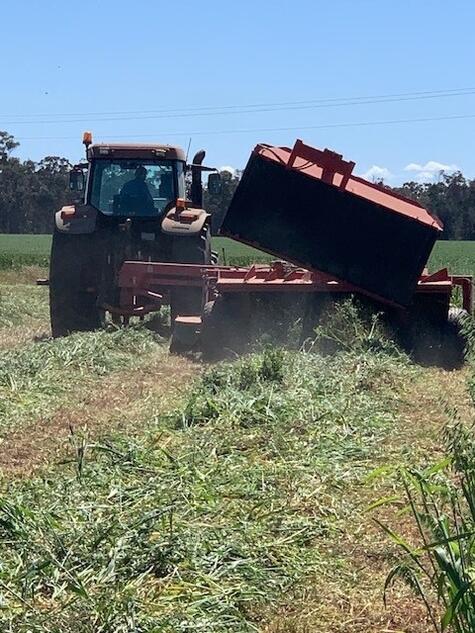 Oaten & Vetch Hay – 8x4x3 & 8x3x3 Large Squares – Shedded – Temora NSW