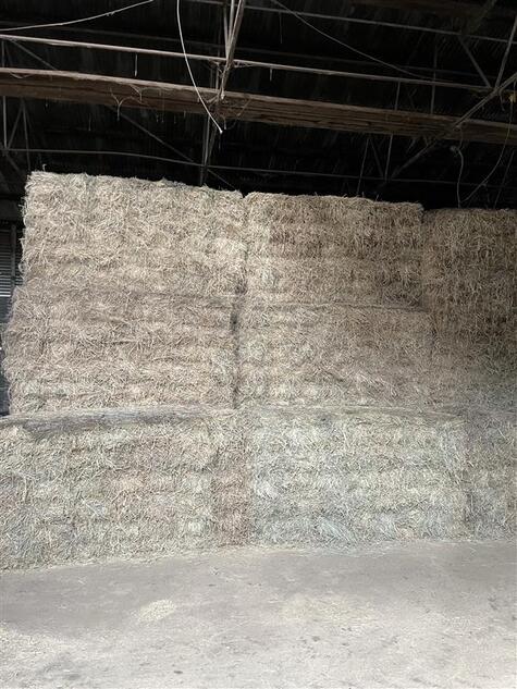 Rhodes Grass Hay