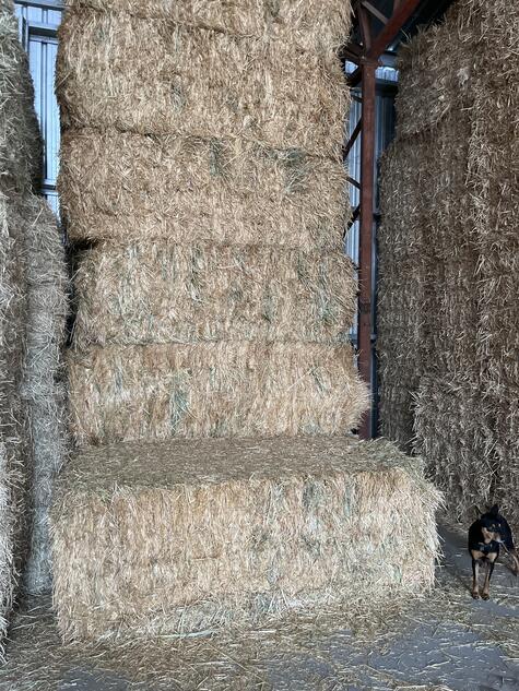 Oaten Hay