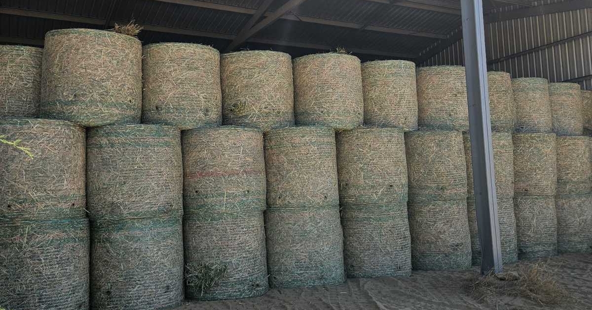 Buy Oaten Hay 90993 in Longreach QLD | LocalAg