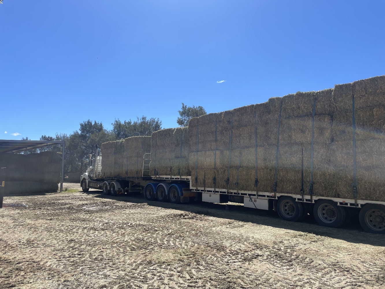 Profile Banner Image