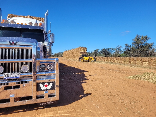Cover image for C & L TRANSPORT PTY LTD