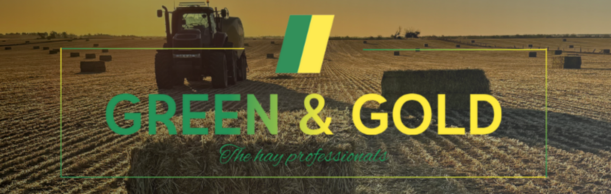 Cover image for GREEN & GOLD CONTRACTORS PTY LTD
