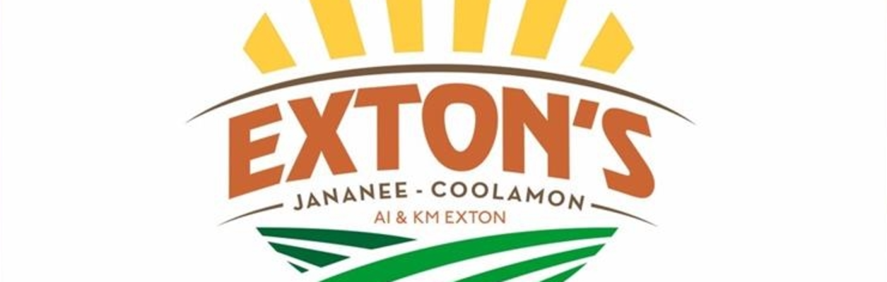 Cover image for AI & KM EXTON