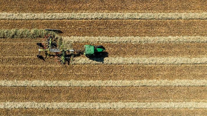Cover image for TOOWOOMBA HAY FARM