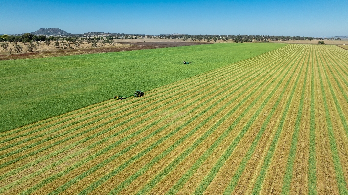 Cover image for Feed Central Trading