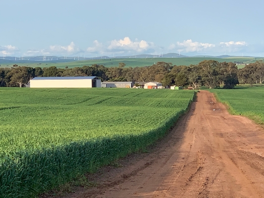 Cover image for LINES MULTI AG