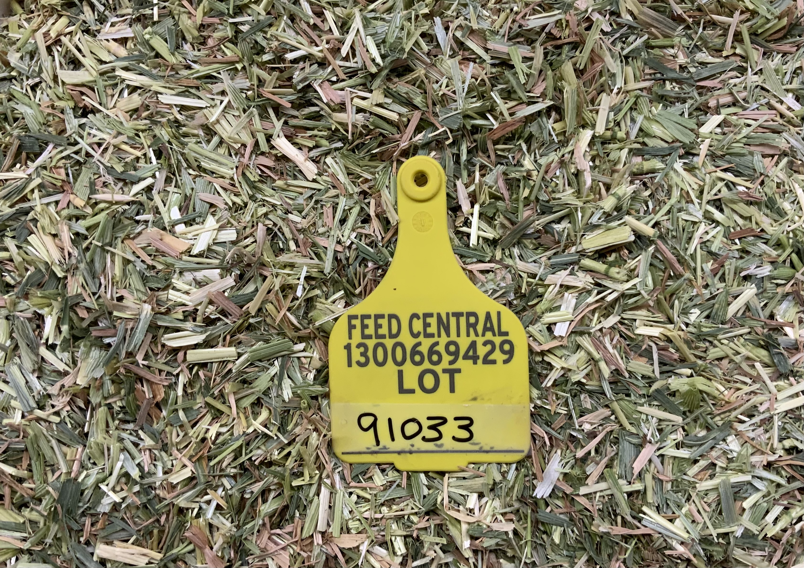 Oaten Hay 2025