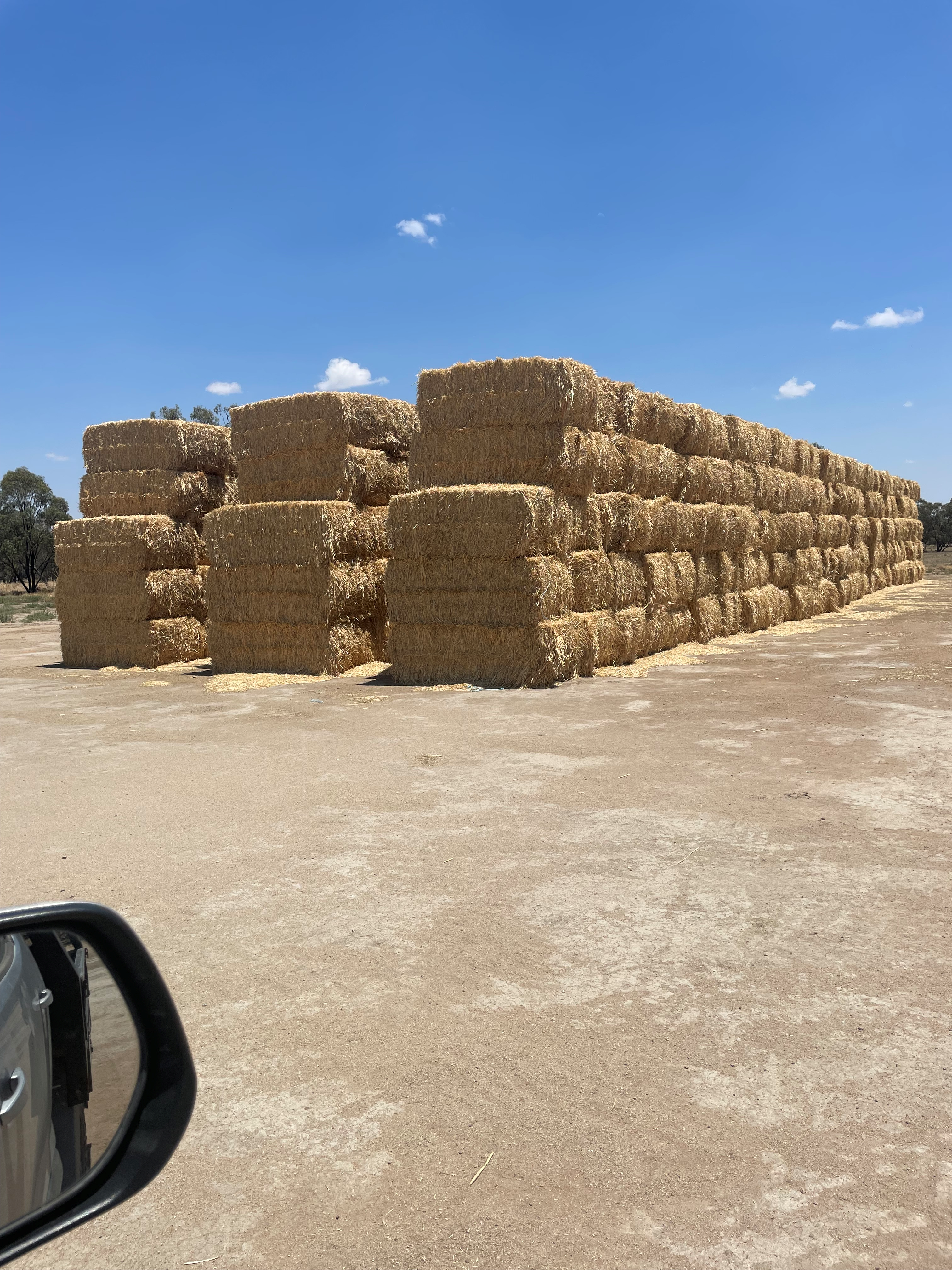 Wheaten Straw / Stubble