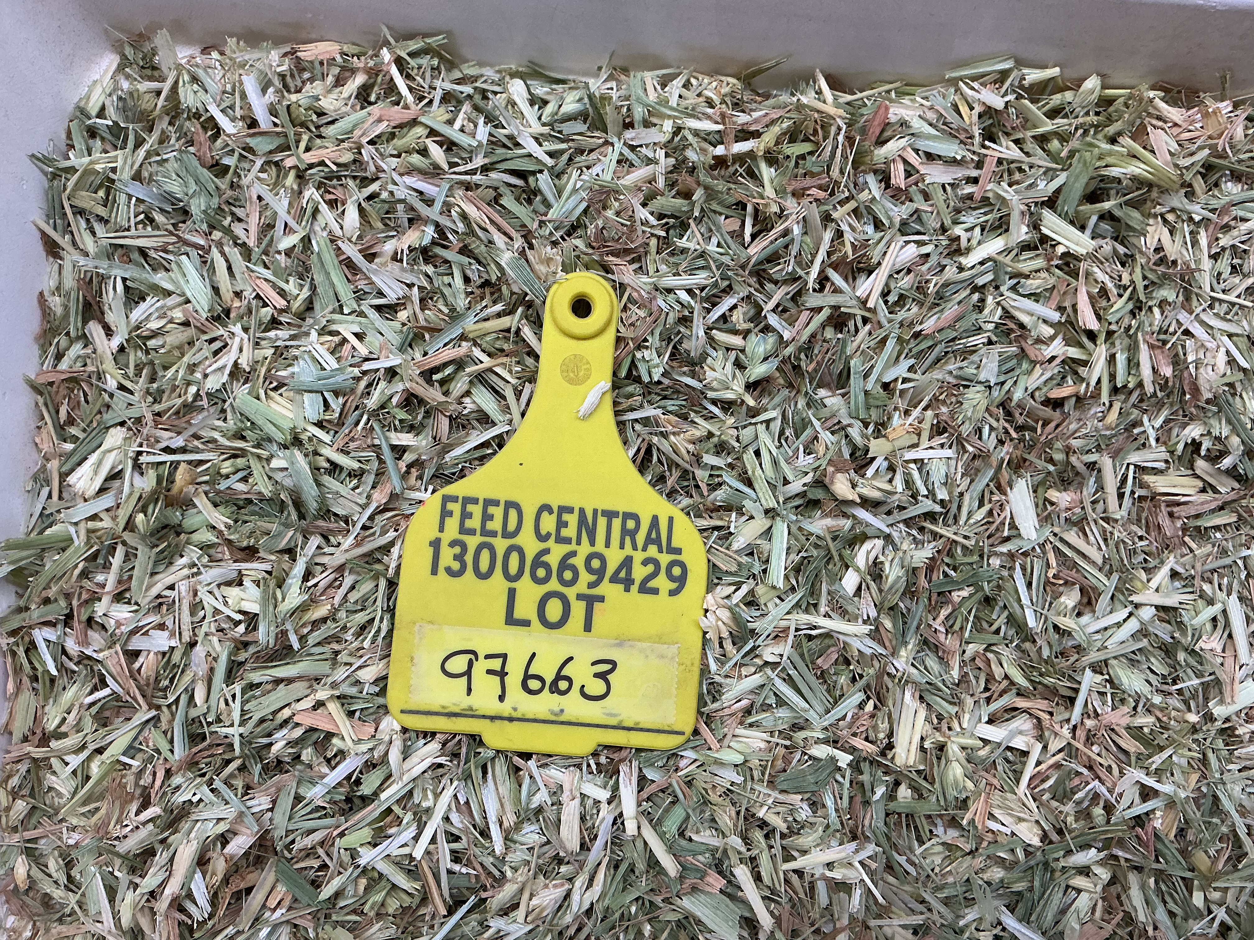 Wheaten (awned) Hay