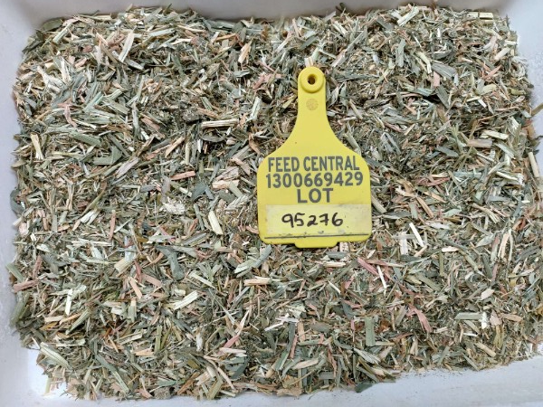 Barley/ Vetch Blend Hay