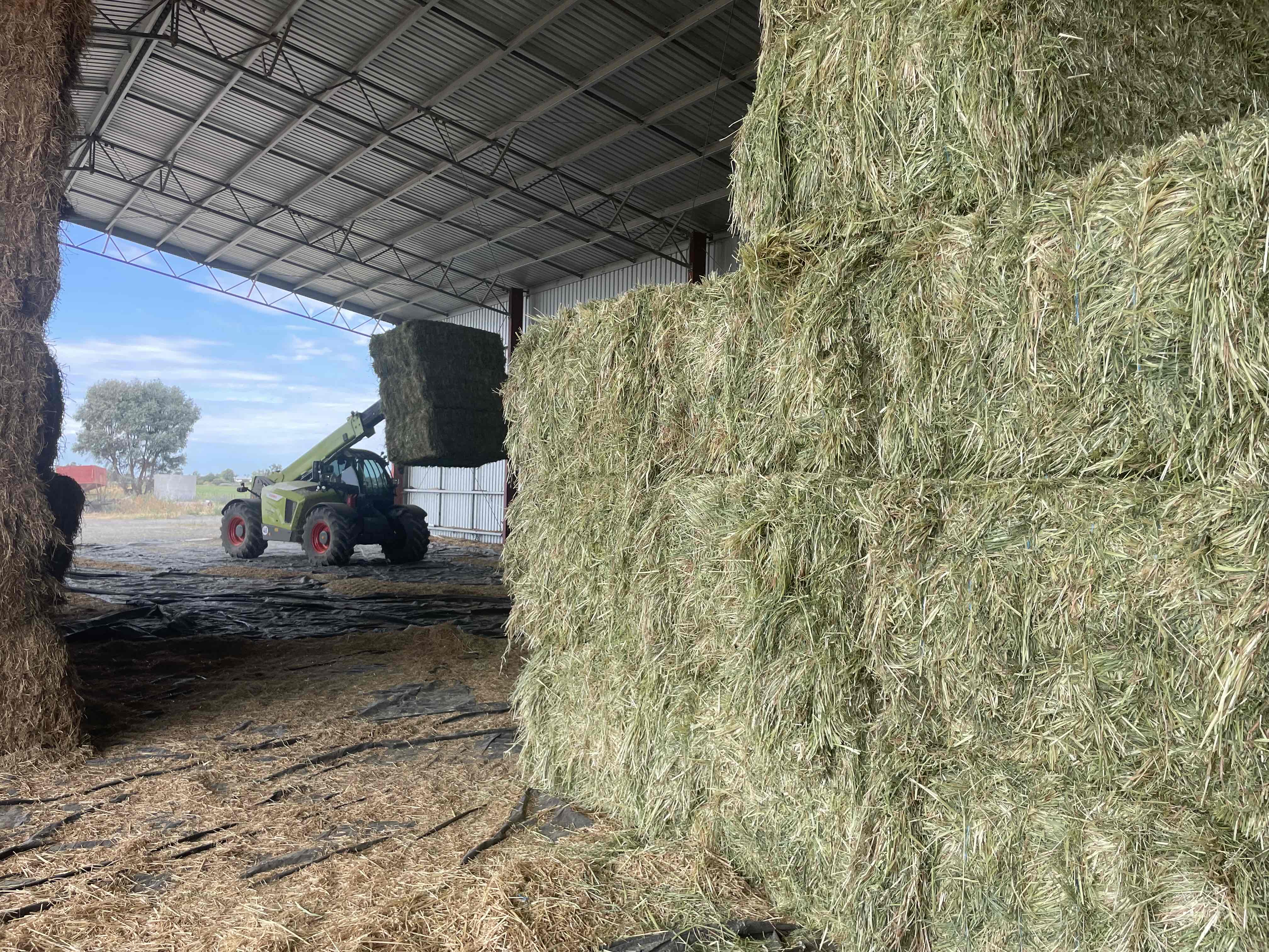 Buy Oaten Rye Hay 90598 in Mulwala NSW | LocalAg