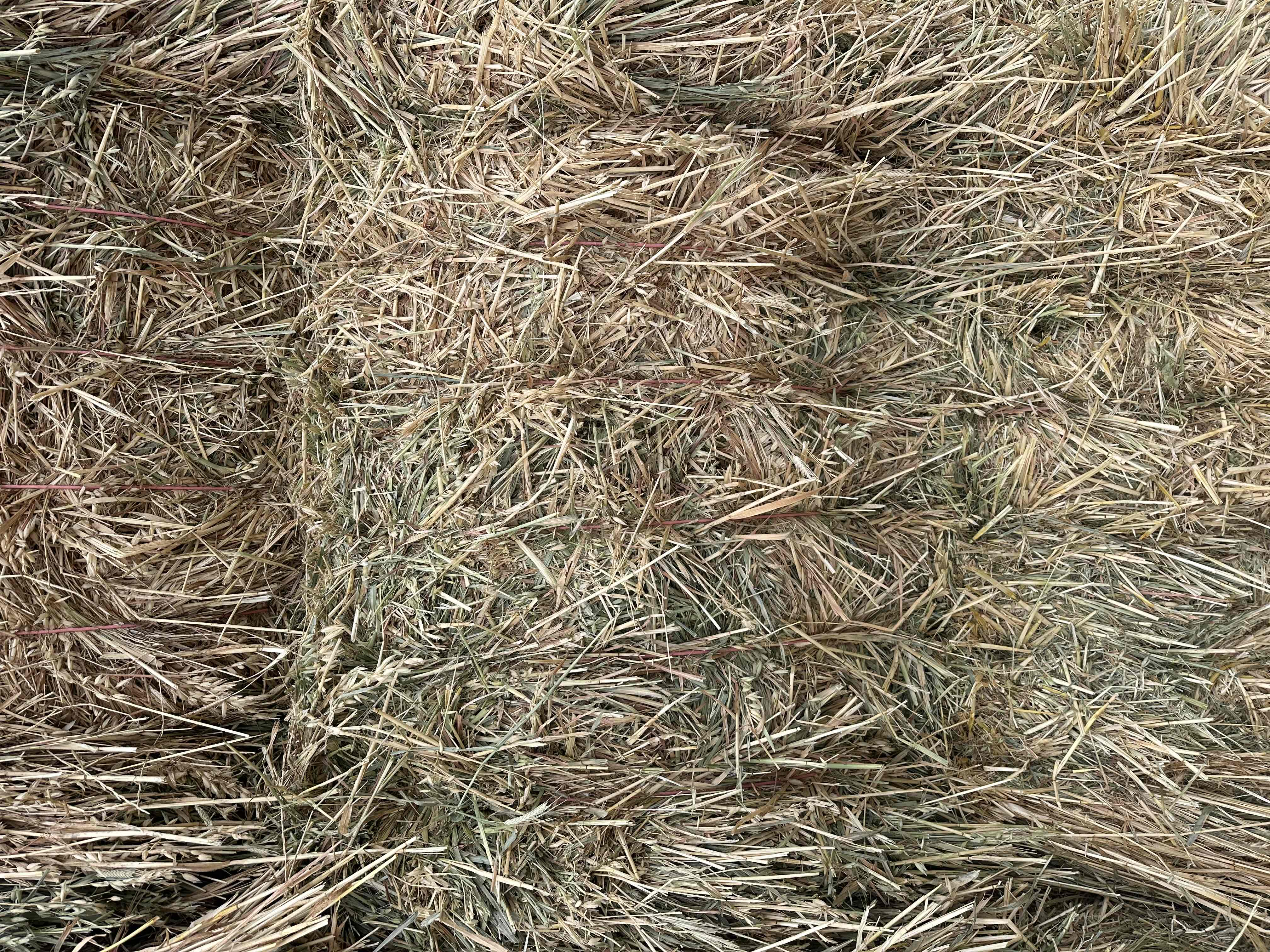 Buy Oaten Hay 91640 in Jeparit VIC | LocalAg