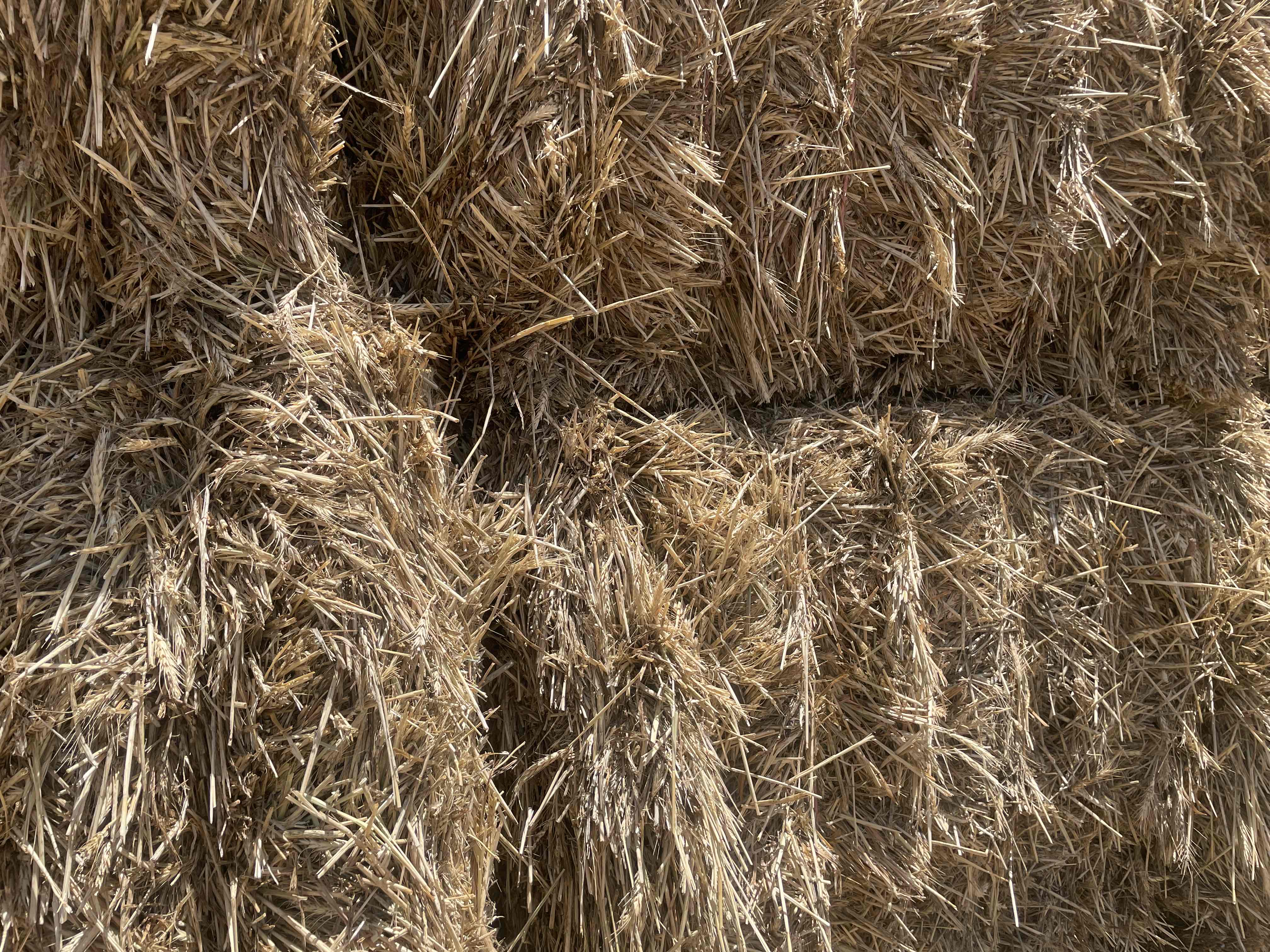 Ed Hay Buy Wheaten (awned) Hay 92171 in Wooroonook VIC | LocalAg