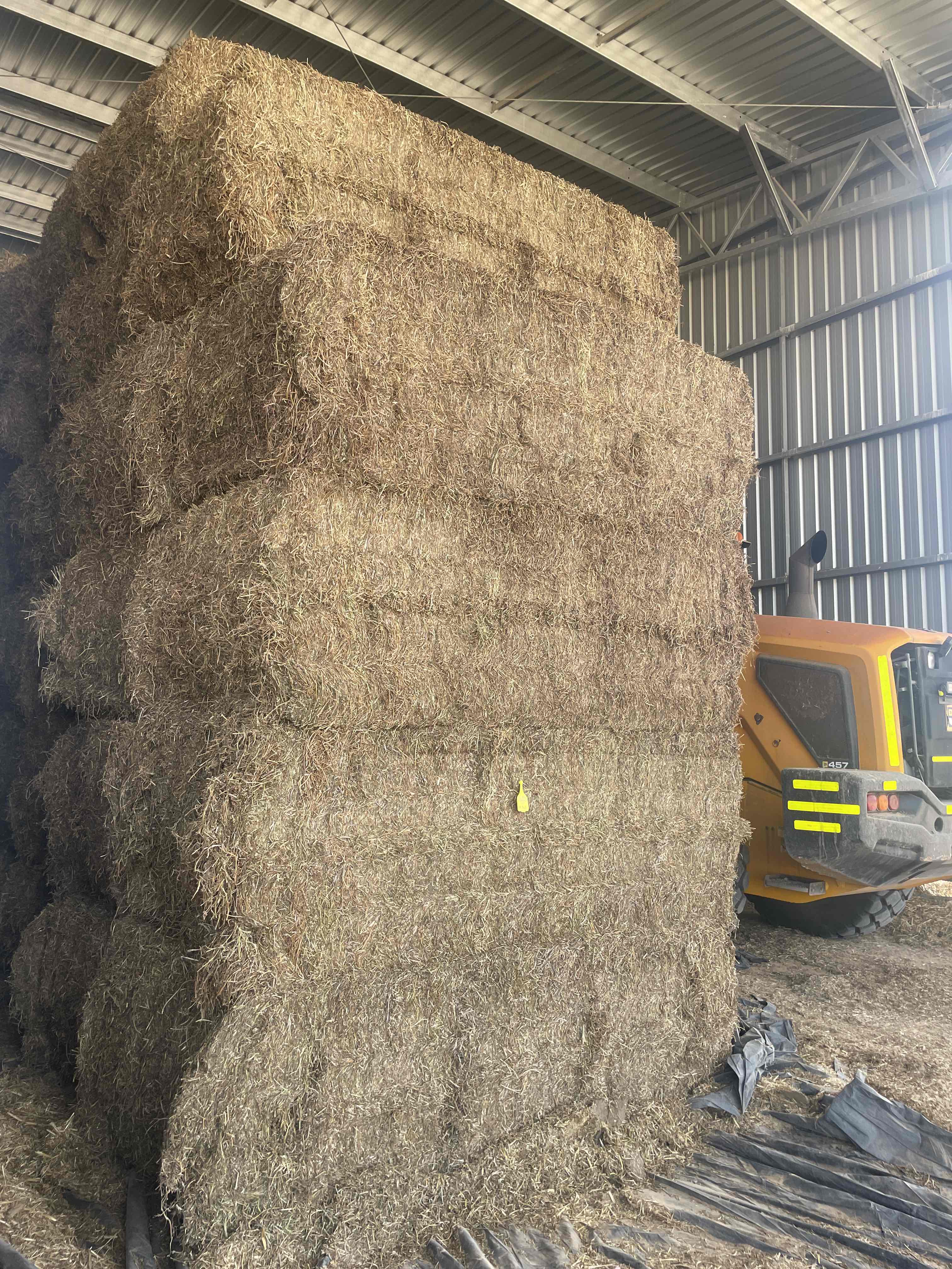 Buy Vetch Hay 91542 in Antwerp VIC | LocalAg