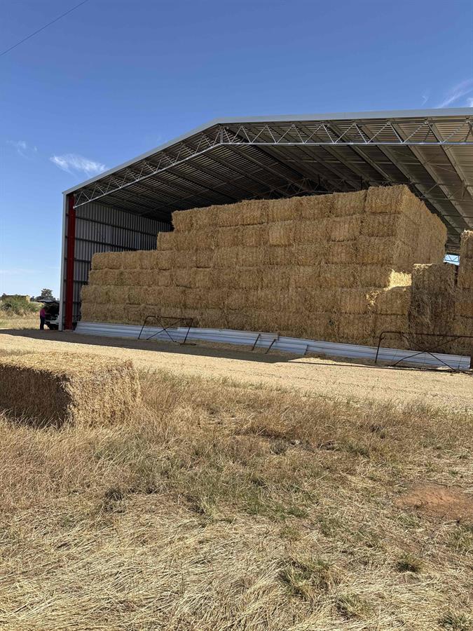 Buy Wheaten (awned) Hay 91966 in Mulwala NSW | LocalAg