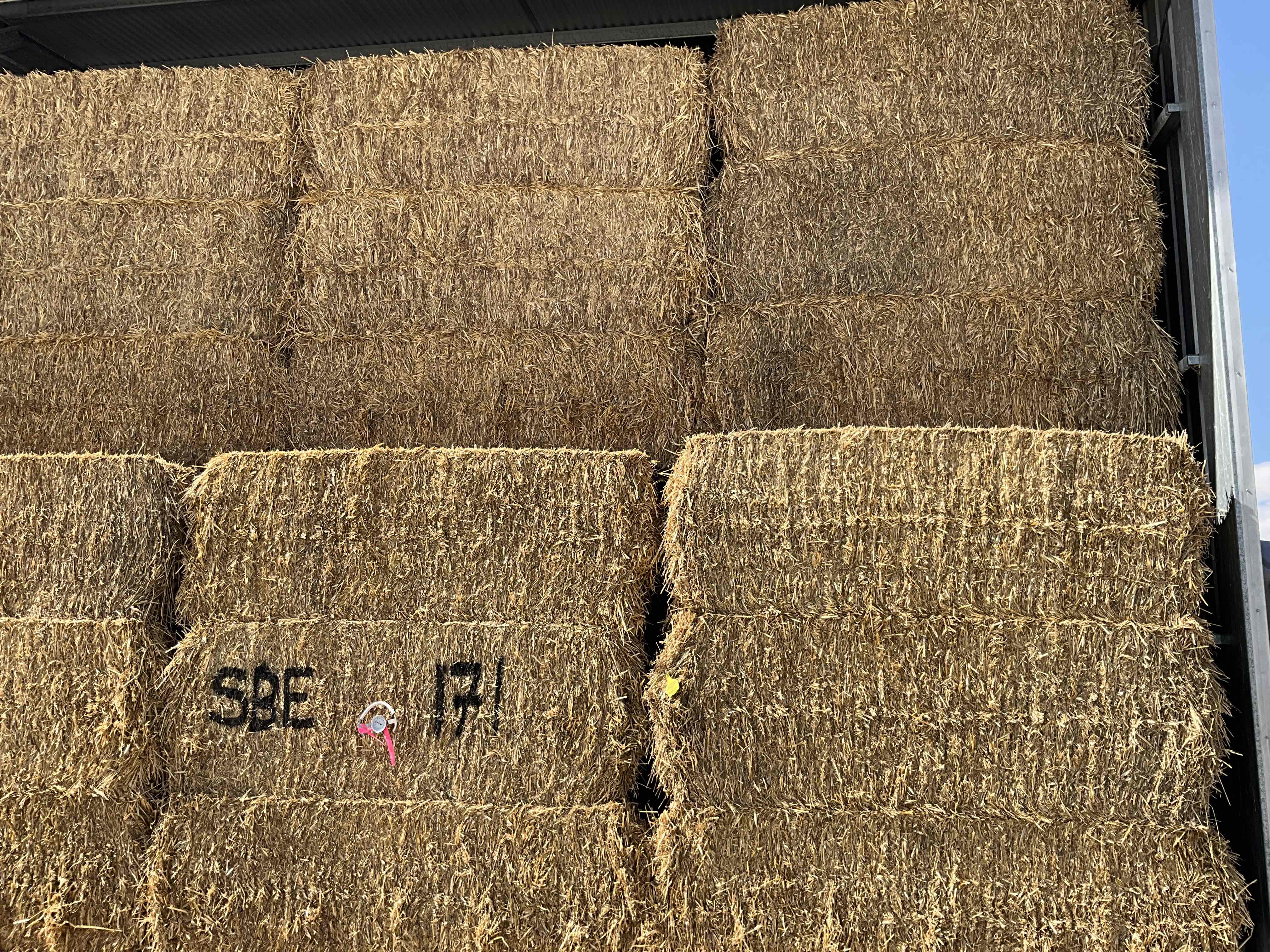 Oaten Hay