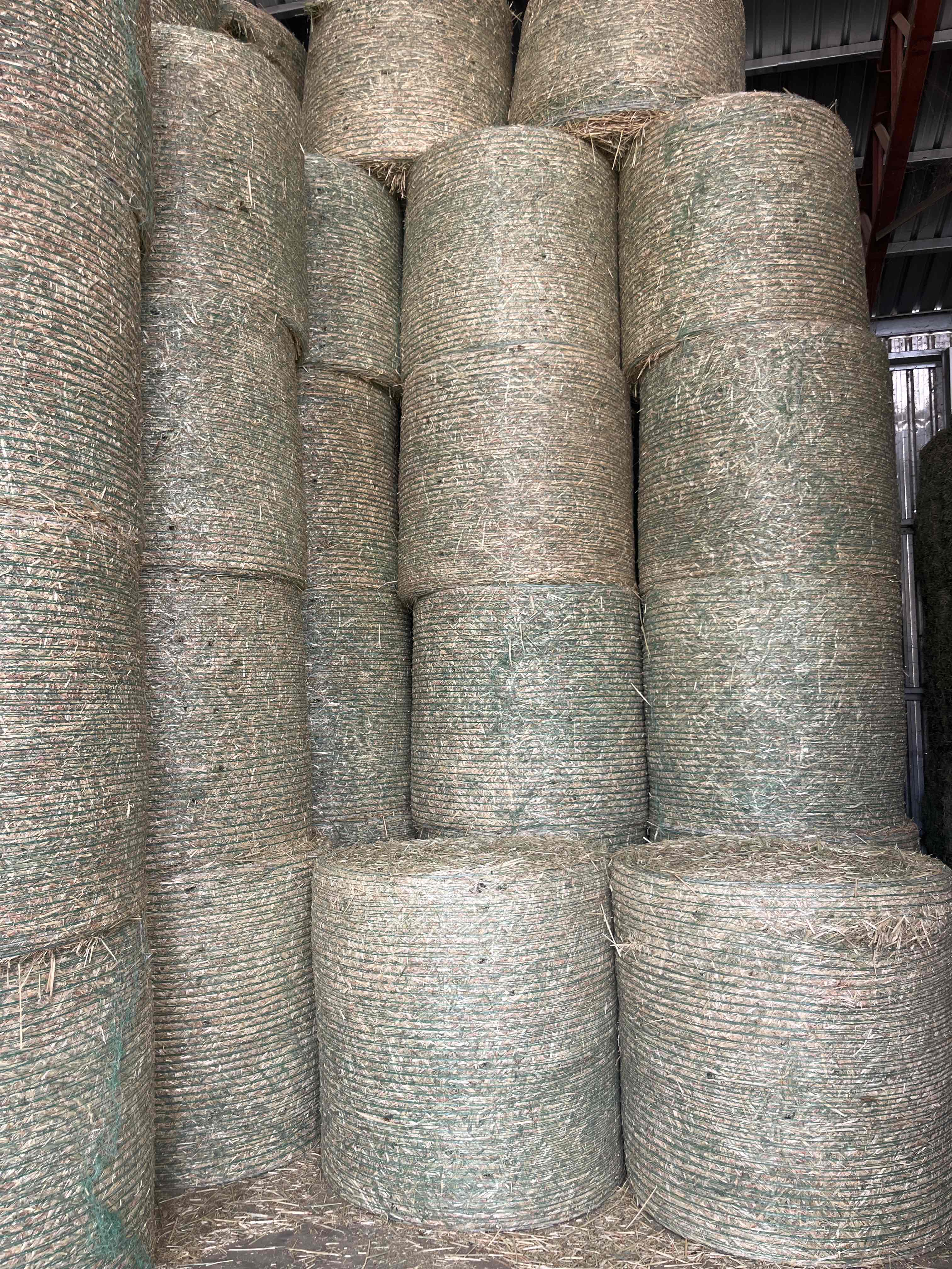 Barley Hay