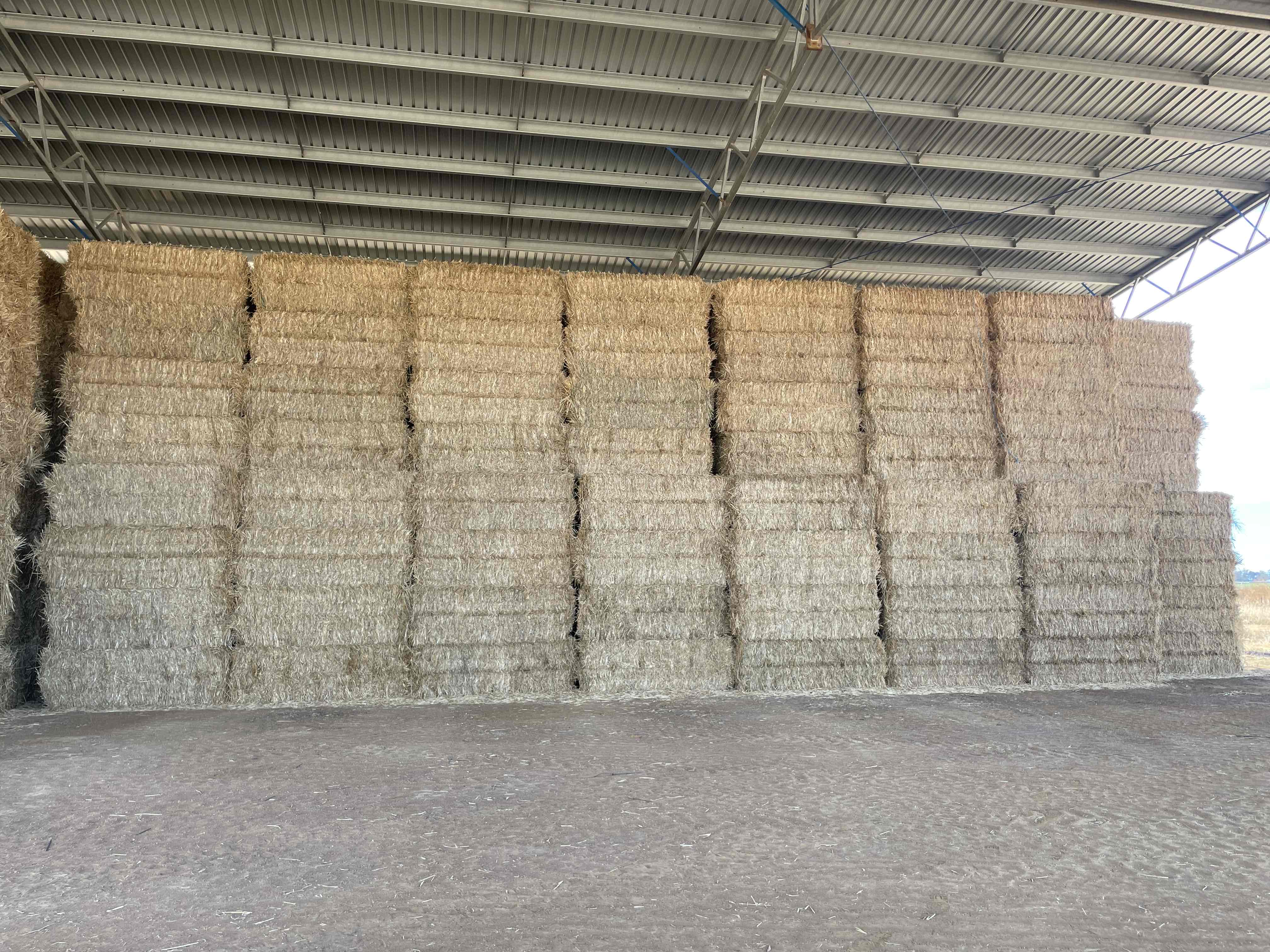 Wheaten (awned) Hay