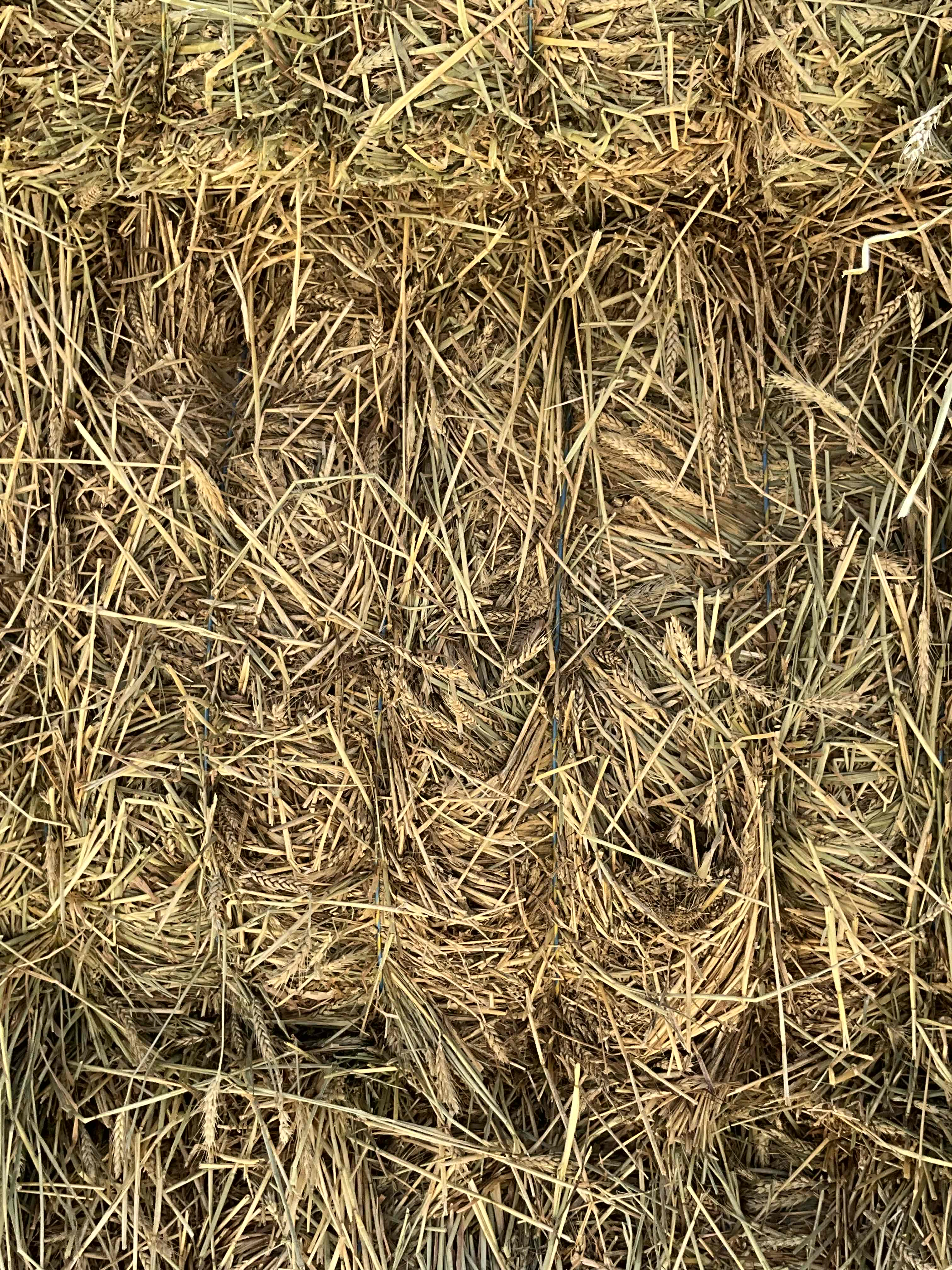 Wheaten (awned) Hay