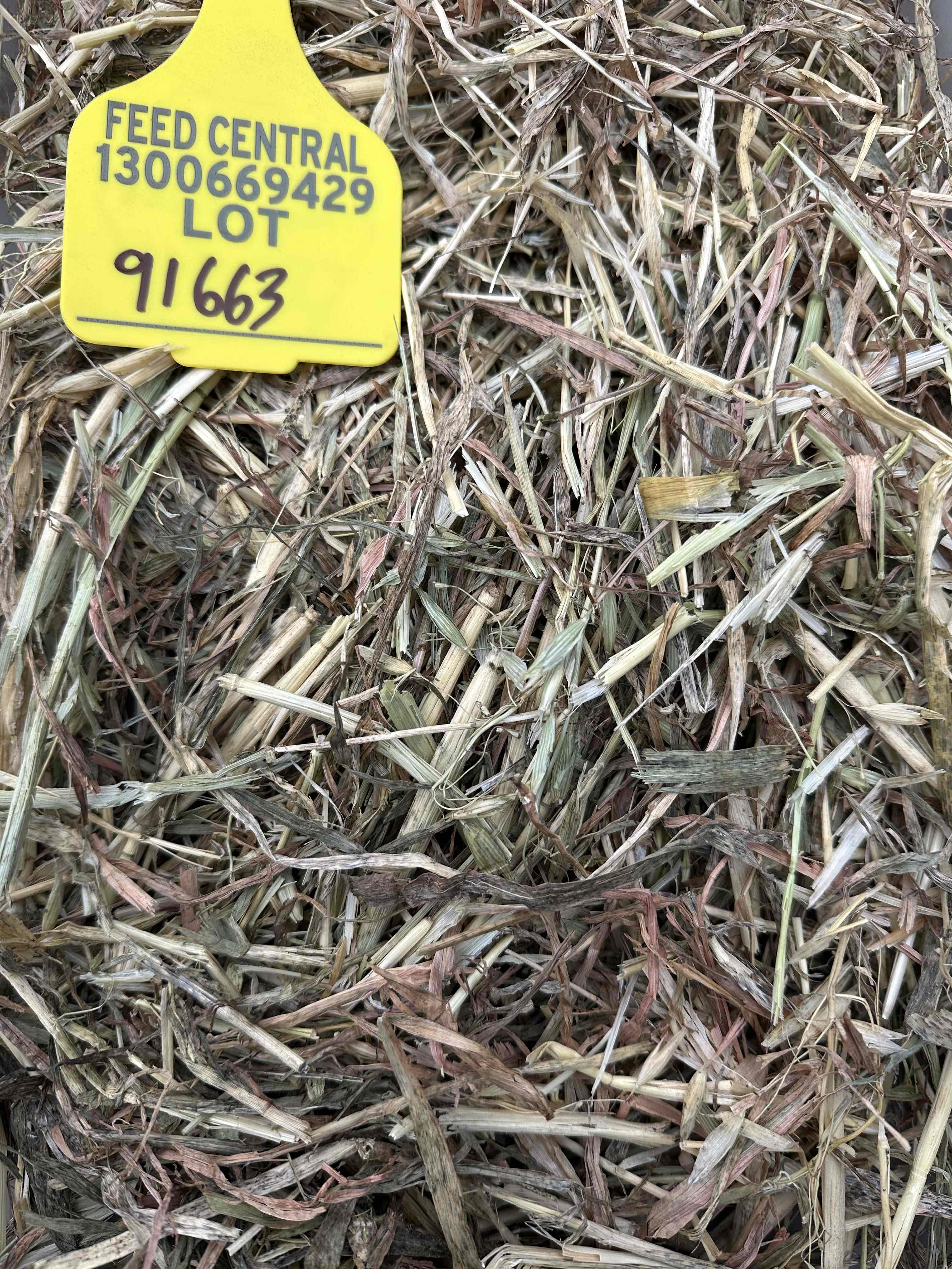 Oaten Hay