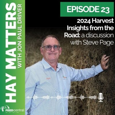 Steve page 3 400x400