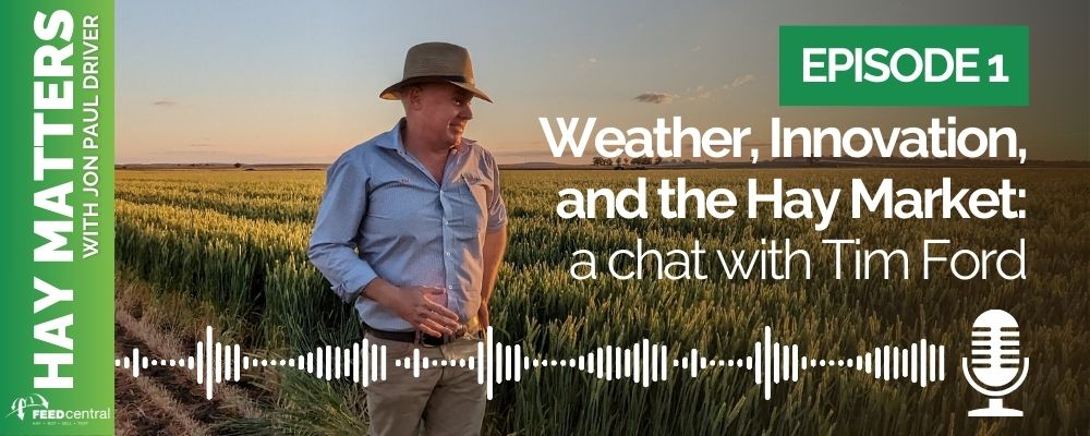 Testing-in-your-Hands