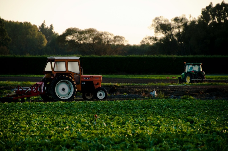 Tractors spraying fertiliser