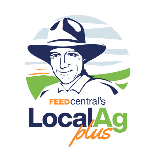 Localag plus logo