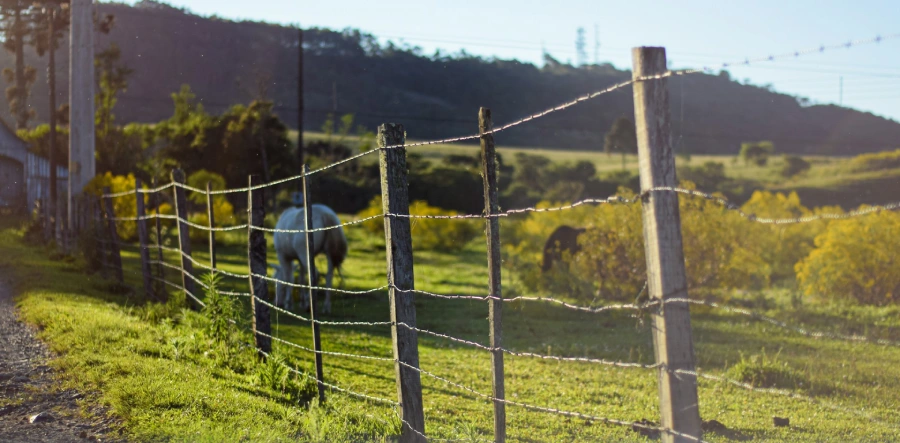 Farm fencing