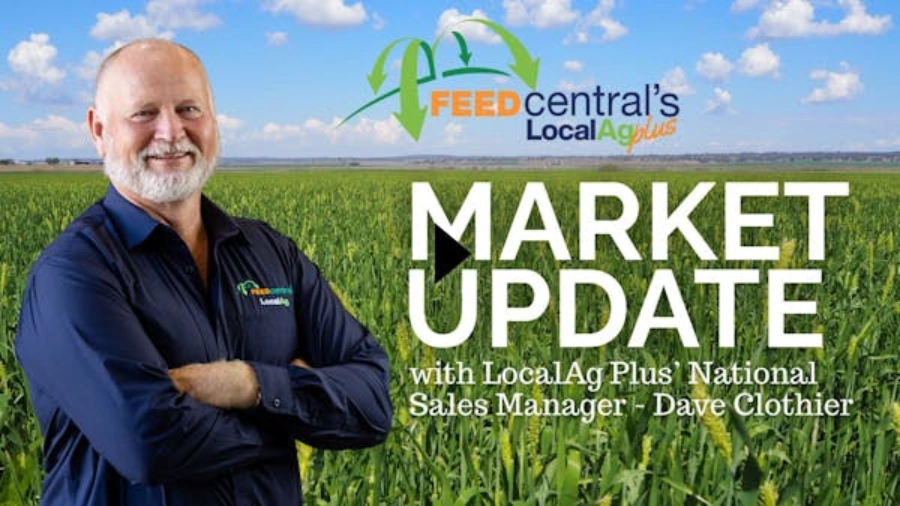 March hay market update
