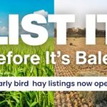 Why Listing Your Hay at Planting is a Game Changer