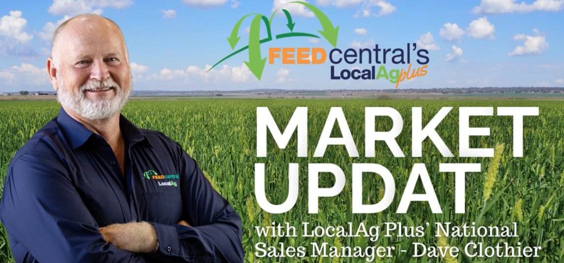 Hay Market Update 28 May 2026