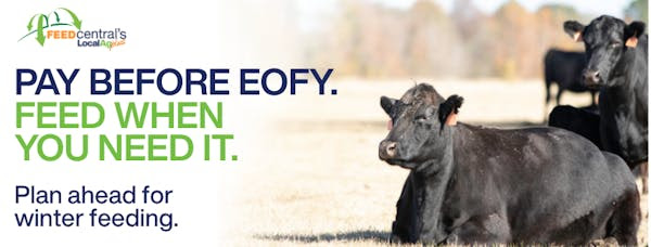 EOFY