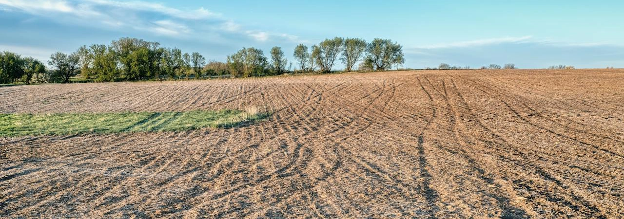 Managing Soil Health During Extended Dry Periods