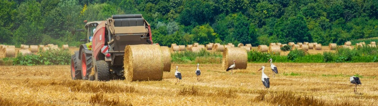 Hay baler