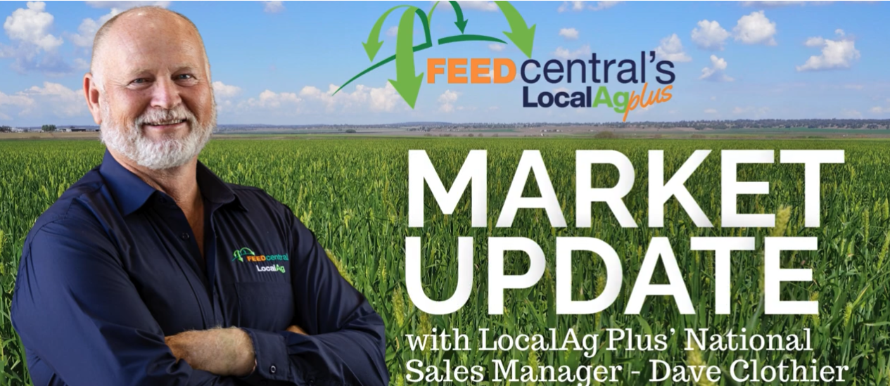 July hay market update