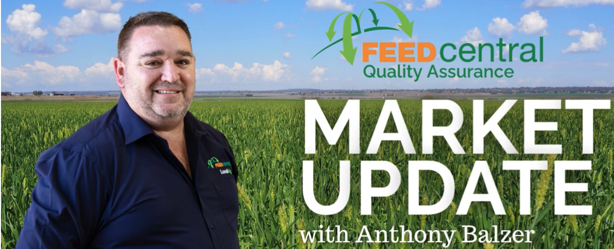 June hay market update