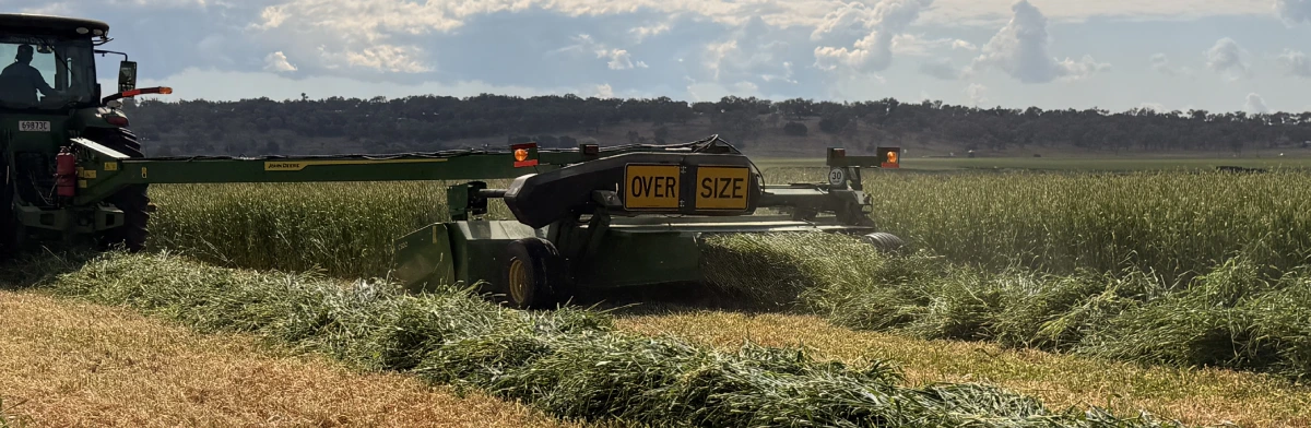 Silage